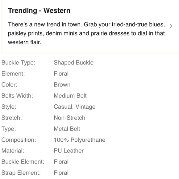 Floral Pattern Brown PU Leather and Turquoise Western Vintage Belt - Picture 5 of 5